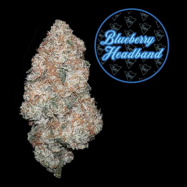 Blueberry Headband | Pre-roll | 1g