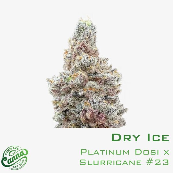 Dry Ice | Premium Flower | 3.5g