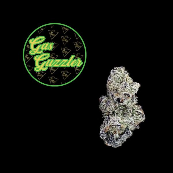 Gas Guzzler | Pre-roll | 1g