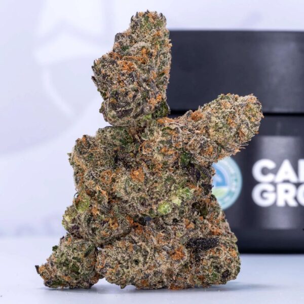 Lion's Breath | Flower | 3.5g