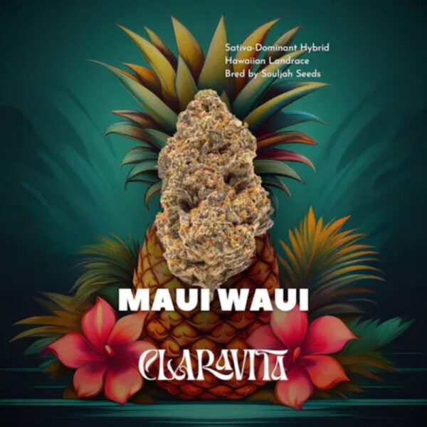 Maui Waui | Flower | 3.5g
