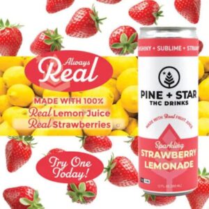 Strawberry Lemonade | Beverage | 5mg