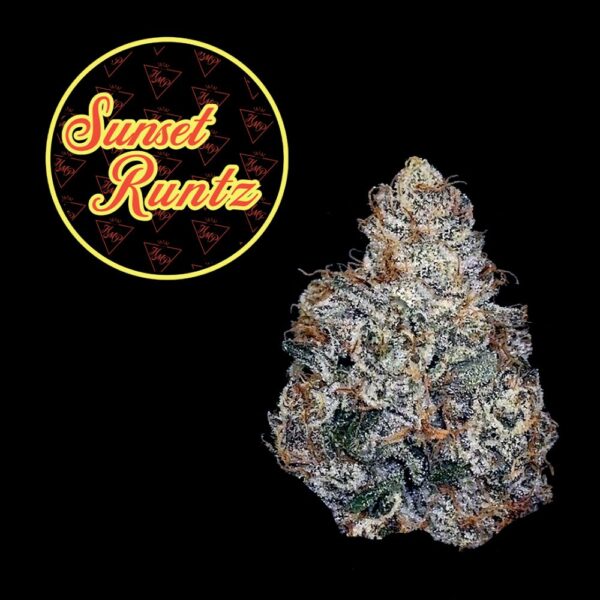 Sunset Runtz | Pre-roll | 1g
