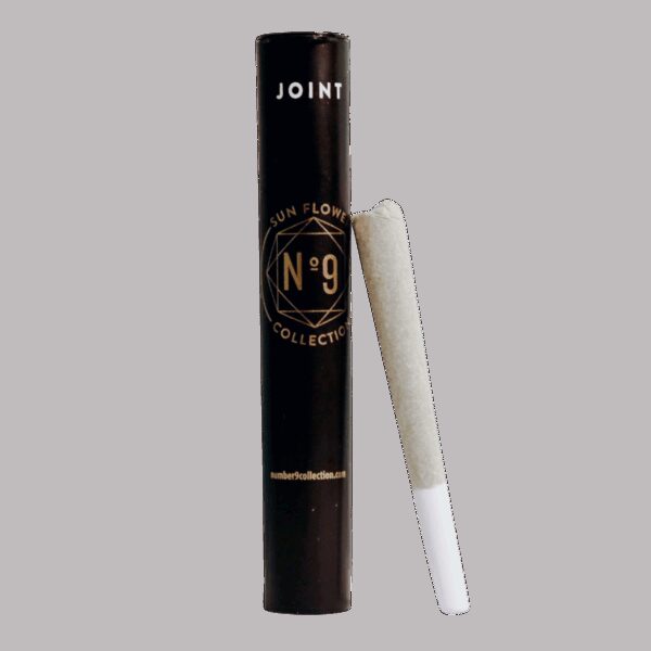 The Mint | Pre-Roll 2pk | 1g