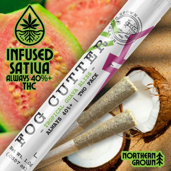 Tropical Guava Bliss | Fog Cutter Infused Pre-Rolls 2pk | 1g