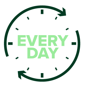 everyday steals