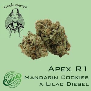 Apex R1 | Small Buds | 7g