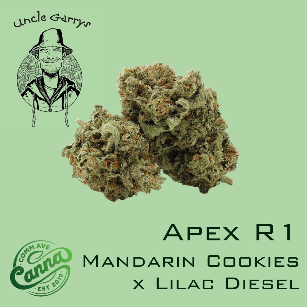Apex R1 | Small Buds | 7g