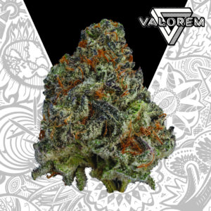 Black Ice | Pre-Roll 10pk | 10g