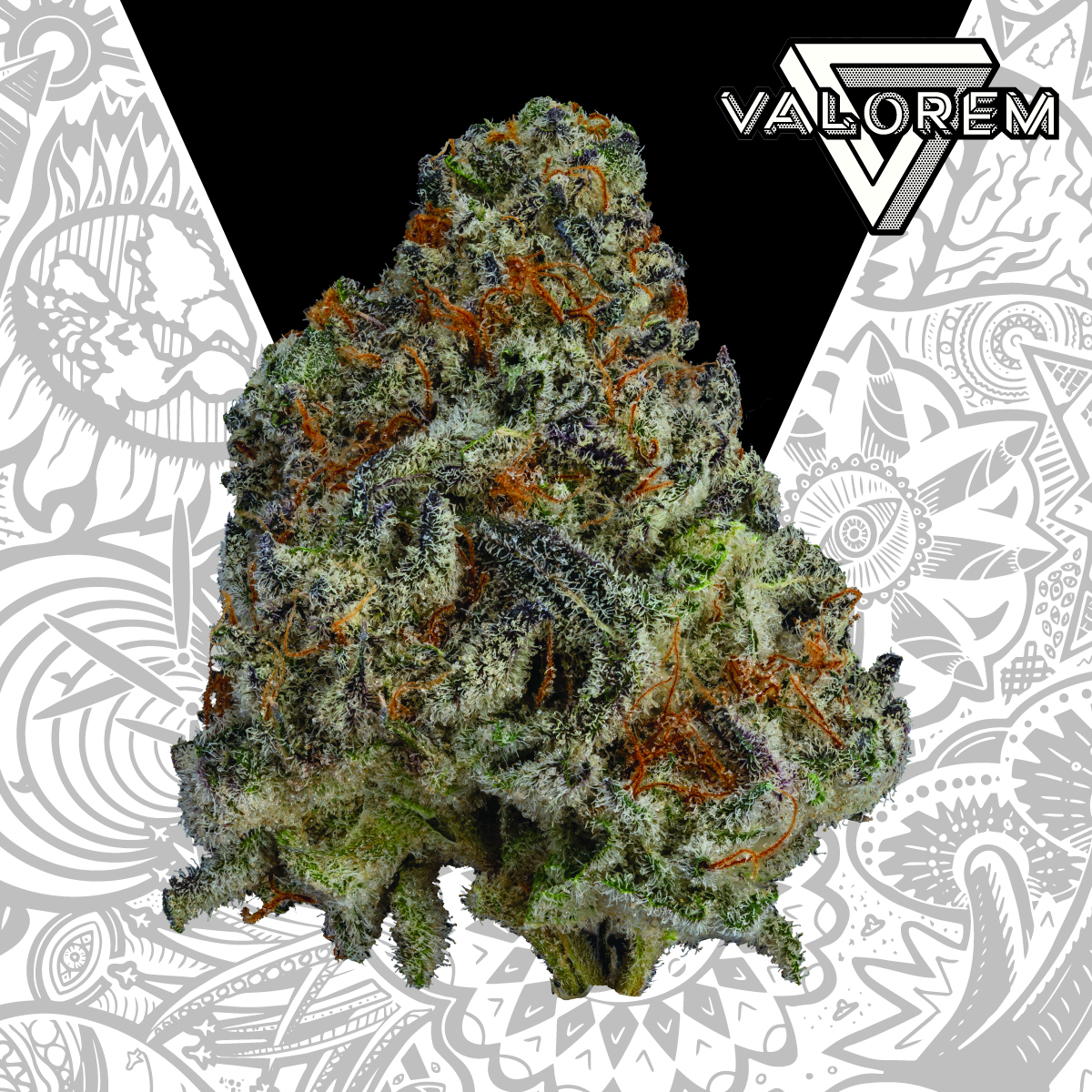 Black Ice | Pre-Roll 10pk | 10g