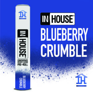 Blueberry Crumble | Infused Pre-Roll | 0.75g