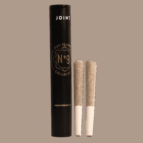 Bruce Banner | Pre-Rolls | 2pk | 1g