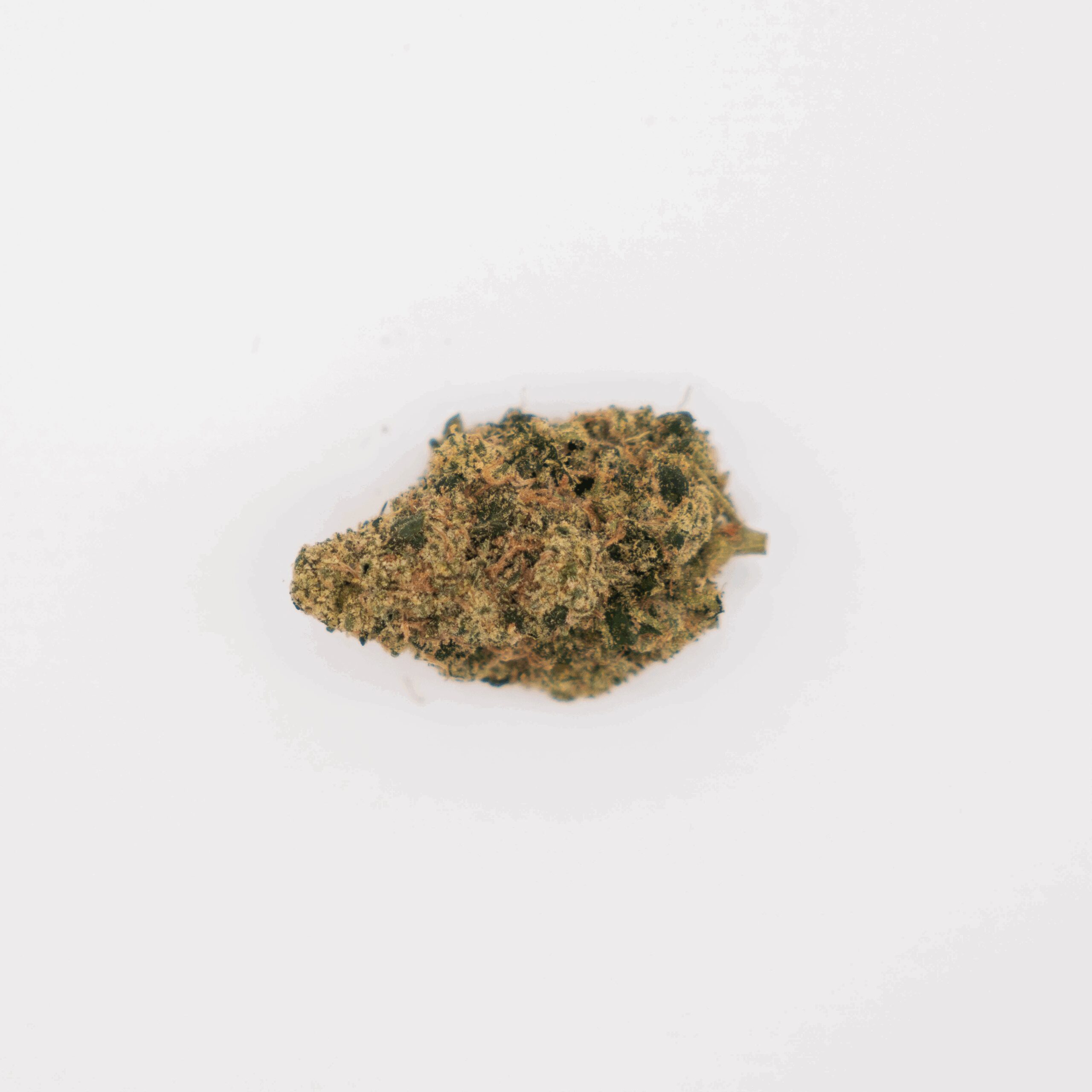 Buddha OG | 3.5g | Comm Ave Canna - Image 2