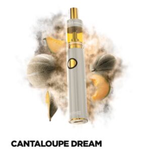 Cantaloupe Dream | Distillate Disposable | 2g