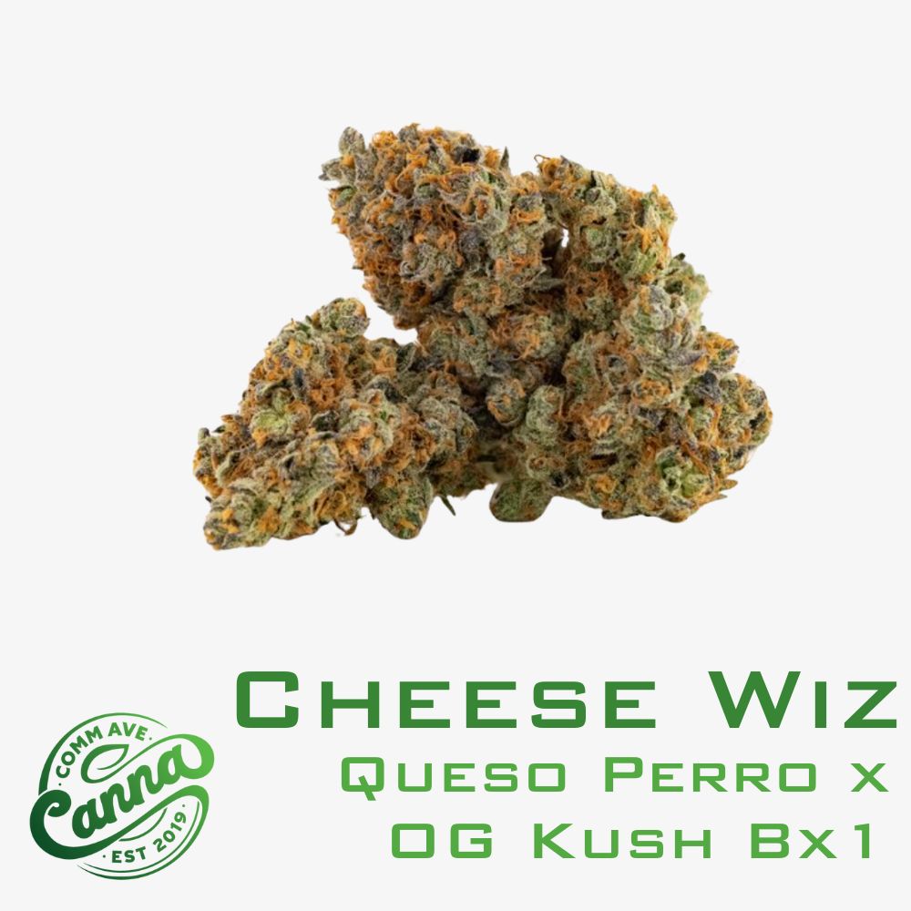 Cheese Wiz | Small Buds | 14g