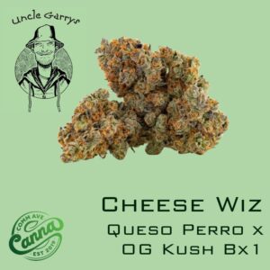 Cheese Wiz | Small Buds | 3.5g