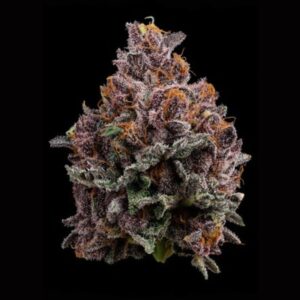 Cherry Whip | Flower | 3.5g