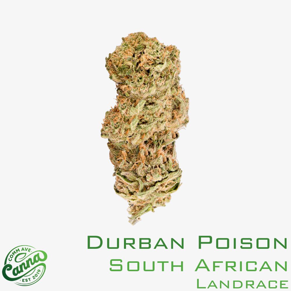 Durban Poison | Premium Flower | 7g