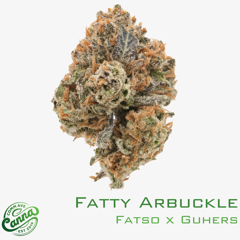 fatty arbuckle | flower | 3.5g | comm ave canna Fatty Arbuckle | Flower | 3.5g