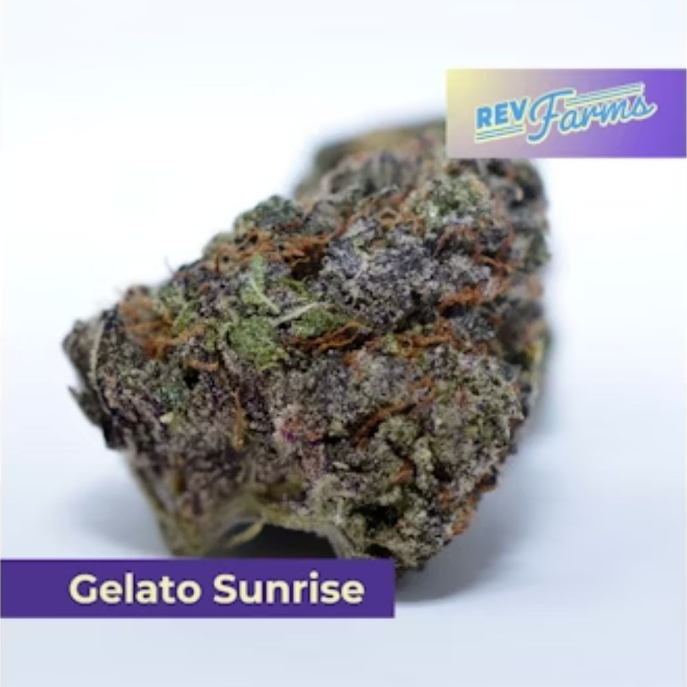 gelato sunrise | flower | 3.5g | comm ave canna Gelato Sunrise | Flower | 3.5g