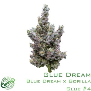 Glue Dream | Flower | 14g