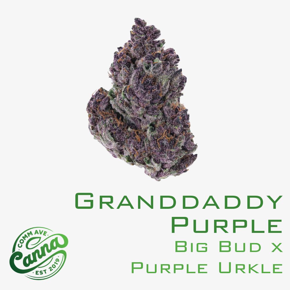 Granddaddy Purple | Flower | 3.5g