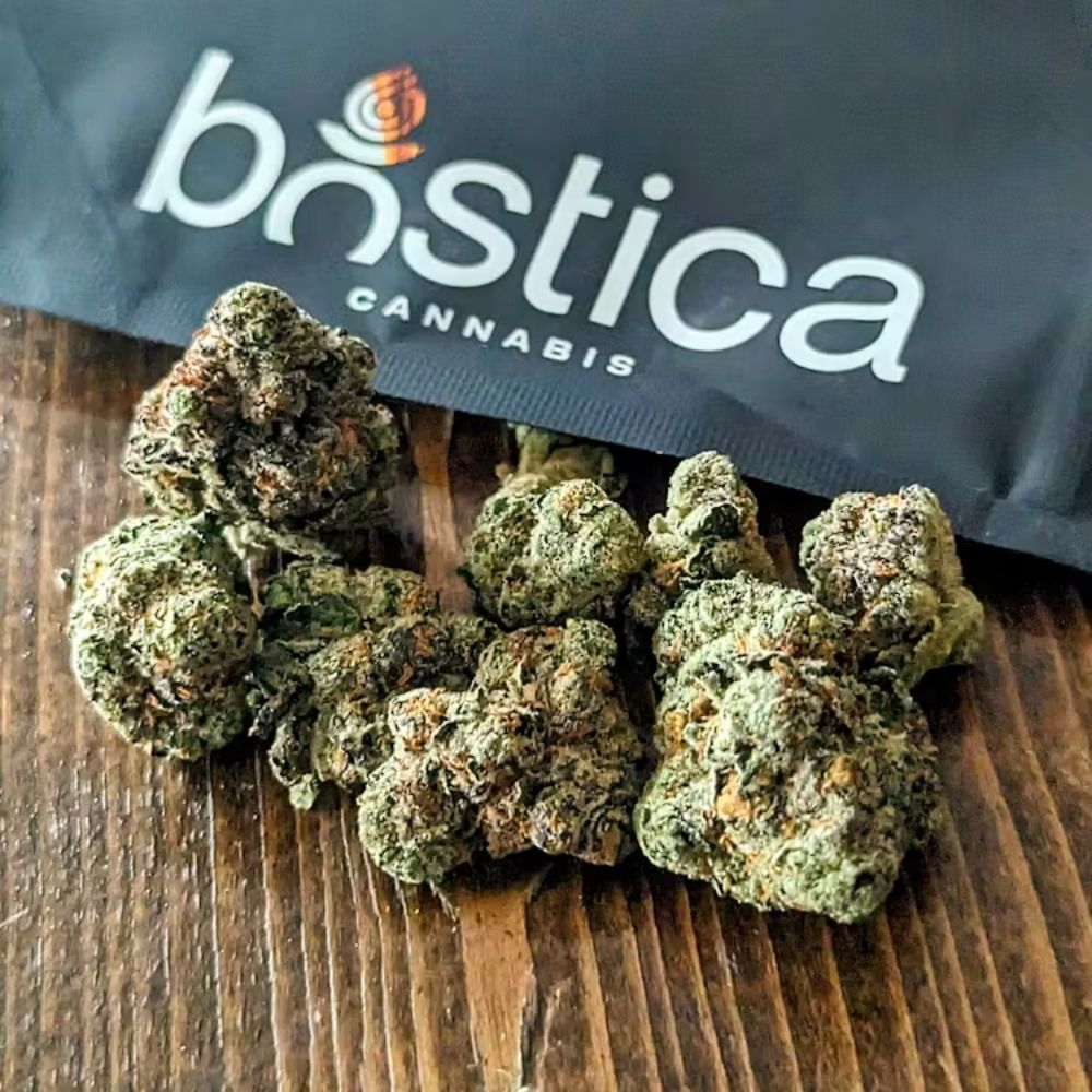 gush mints | flower | 28g | comm ave canna Gush Mints | Flower | 28g