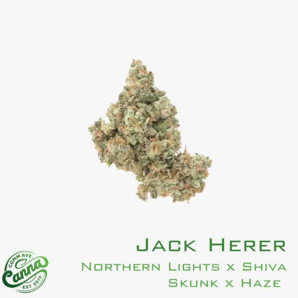Jack Herer | Flower | 3.5g