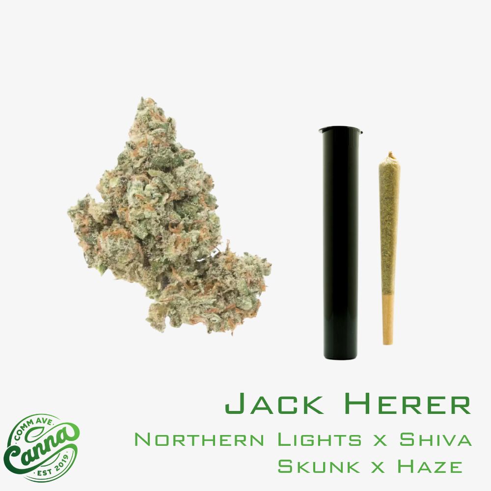 Jack Herer | Pre-Roll | 1g