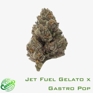 Jet Fuel Gelato x Gastro Pop | Flower | 14g