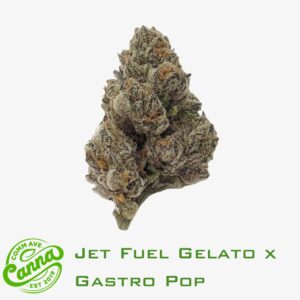 Jet Fuel Gelato x Gastropop | Flower | 28g