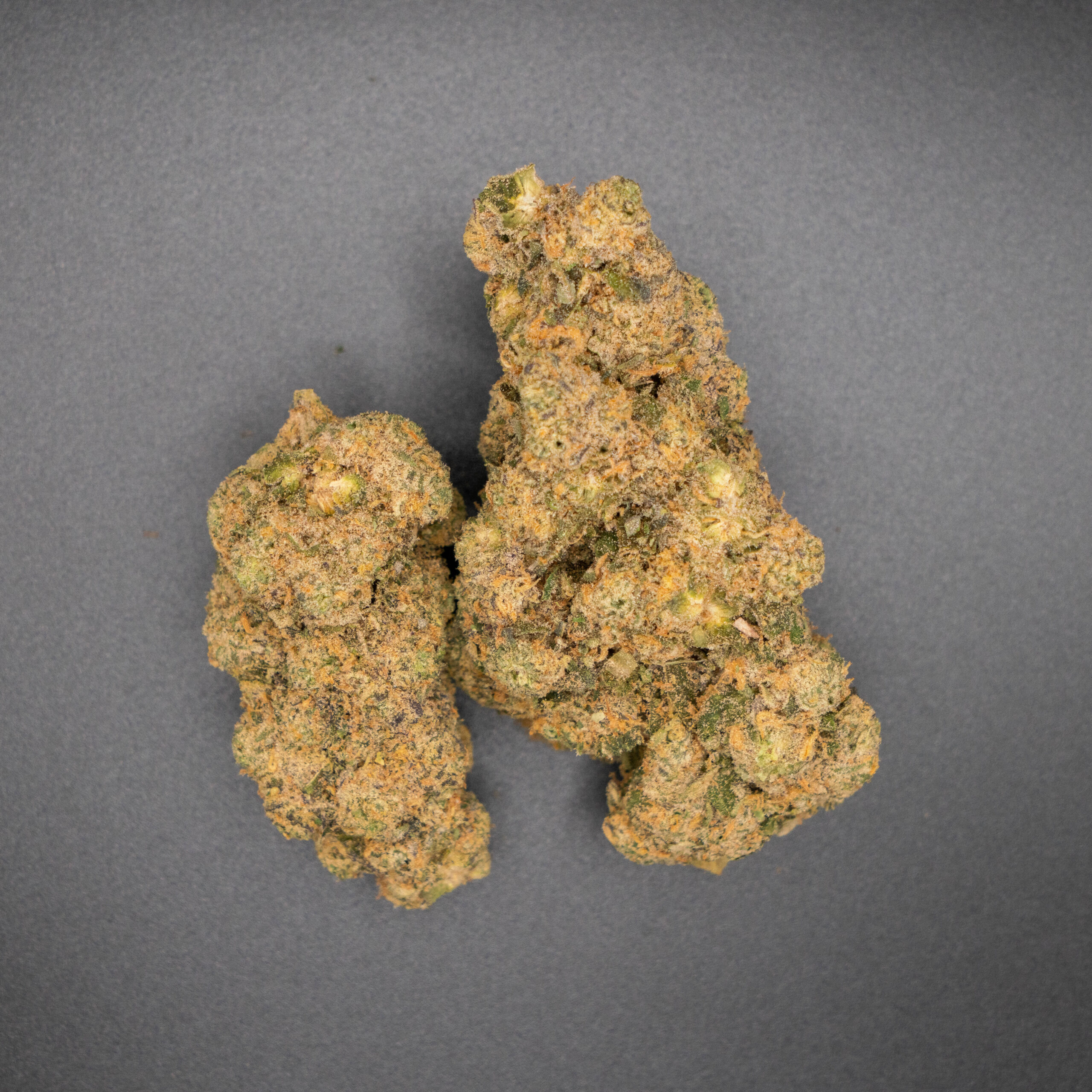 Lava Cake | Flower | 28g | Comm Ave Canna - Image 3