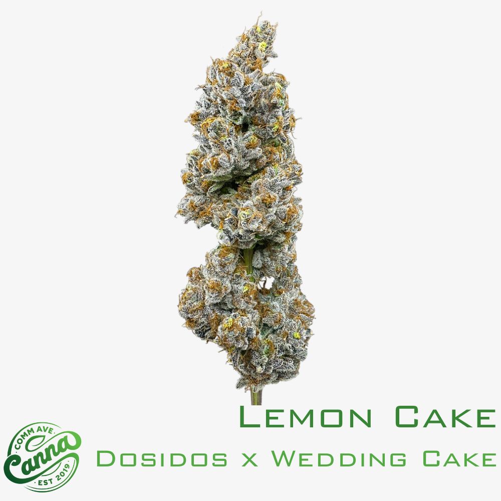 lemon cake | premium flower | 7g | comm ave canna Lemon Cake | Premium Flower | 7g