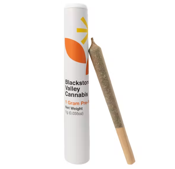 Lemon Haze | Infused Blunt | 1.5g | Blackstone Valley Cannabis - Image 2