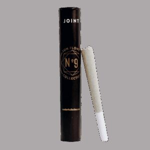 Lot Lizard | Pre-Roll | 1g