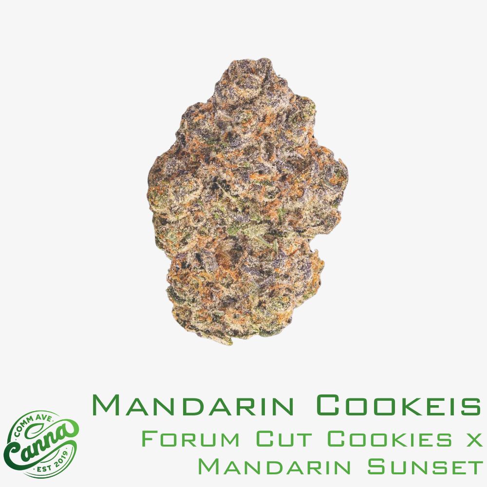 mandarin cookies | premium flower | comm ave canna Mandarin Cookies | Premium Flower