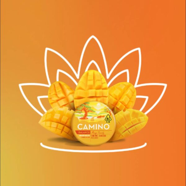 Mango 1:1 THC:CBD | Gummies | 100mg
