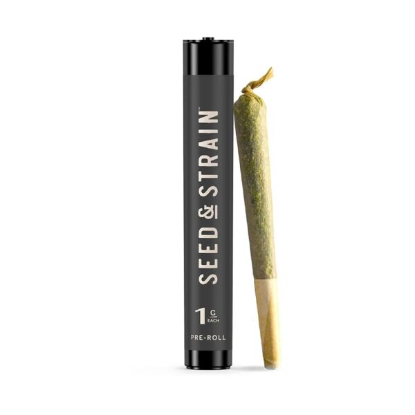 Mango Lemonade | Pre-Roll | 1g