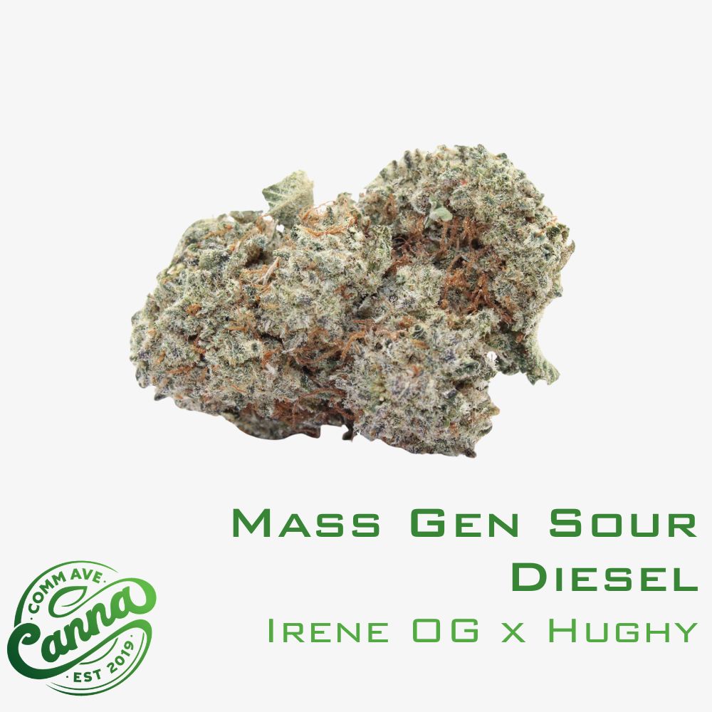mass gen sour diesel | flower | 3.5g | comm ave canna Mass Gen Sour Diesel | Flower | 3.5g