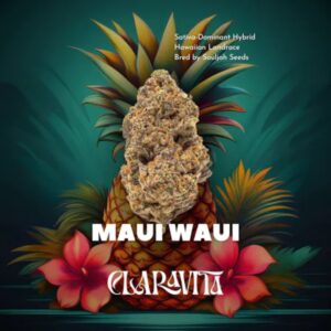 Maui Waui | Flower | 3.5g