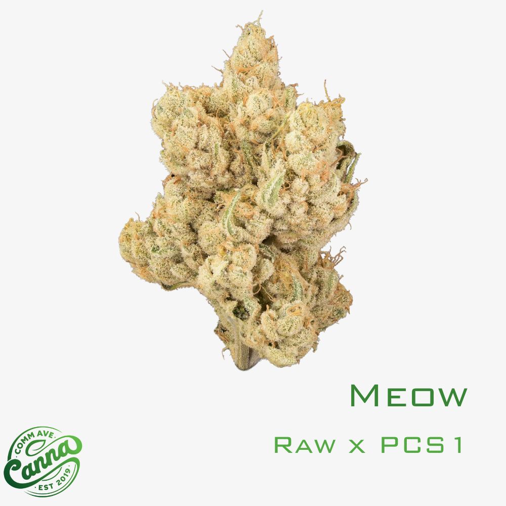 Meow | Small Buds | 3.5g