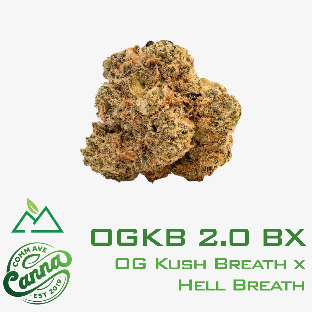 OGKB 2.0 BX | Flower | 28g
