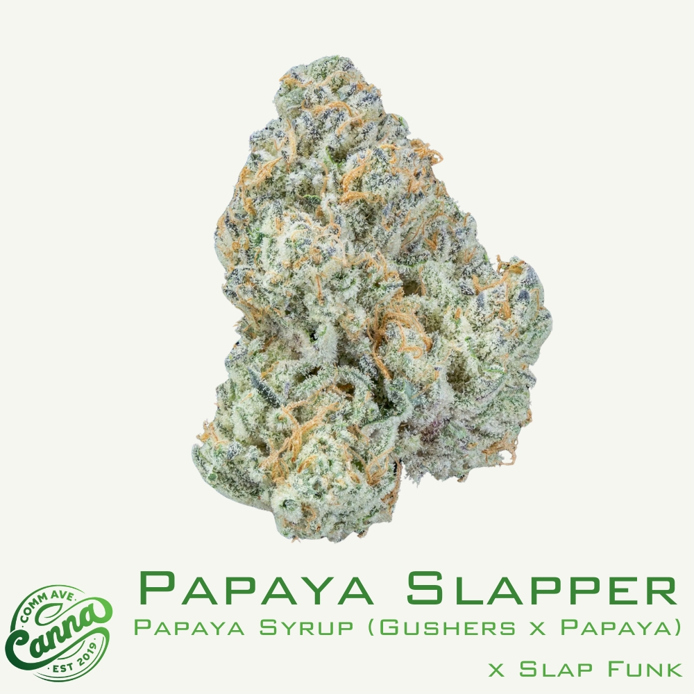 papaya slapper | flower | 14g | comm ave canna Papaya Slapper | Flower | 14g