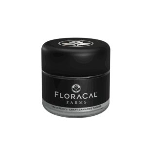 Petrol Mac | Flower | 3.5g