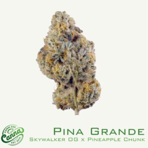 Pina Grande | Small Buds | 3.5g