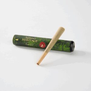 Rainbow Sherbet #11 | Pre-Roll | 1g