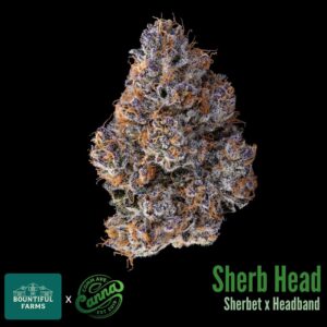 Sherb Head | Small Buds | 3.5g
