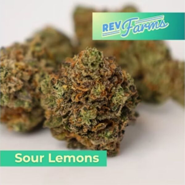 Sour Lemons | Flower | 28g