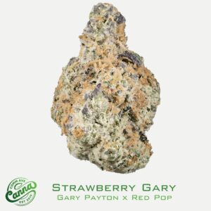 Stawberry Gary | Small Buds | 7g