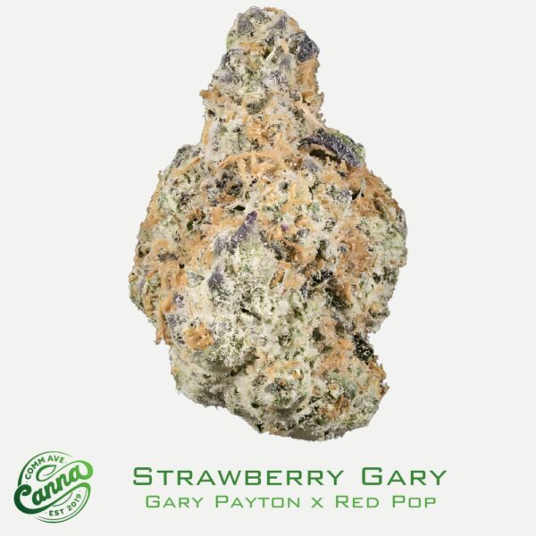 Strawberry Gary | Pre-Roll | 0.5g